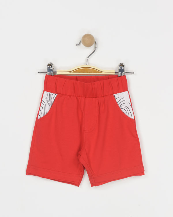 Picture of B31018-HIGH QUALITY COTTON BERMUDA FOR BABY BOYS